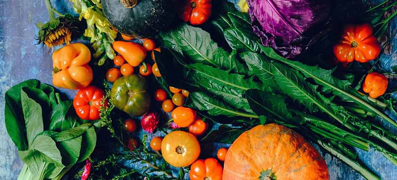 variety-of-vegetables-1458694