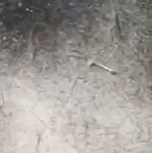 Copy%20of%20Sequence%2003.00_07_15_20_ed