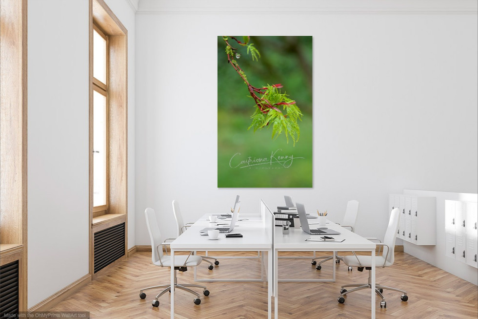 20455 Acryllic raindrop on green CKP(c)b.jpg