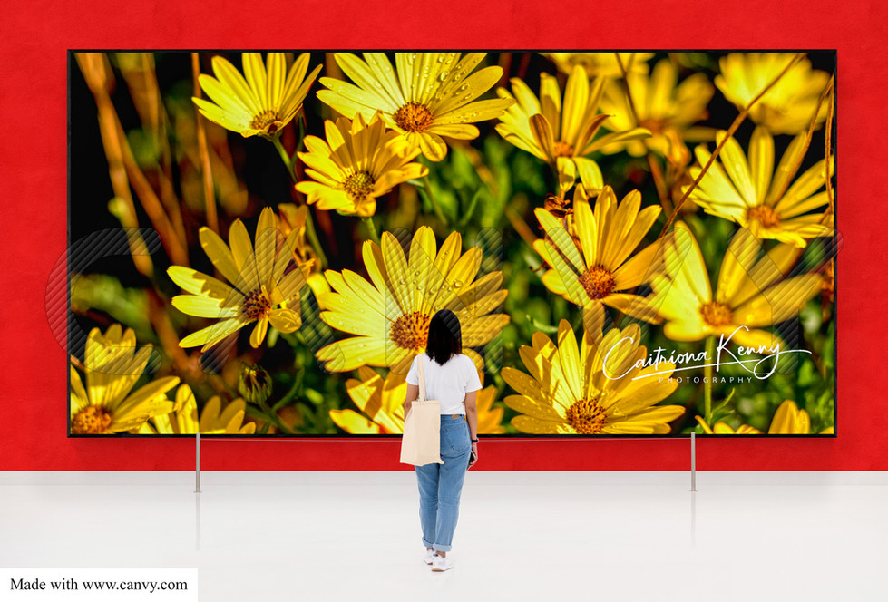 7852V2LG panoramic Yellow Flowers CKP(c).jpg