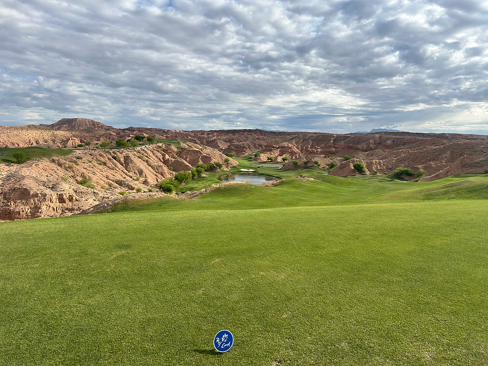 back9 golf physical therapy services