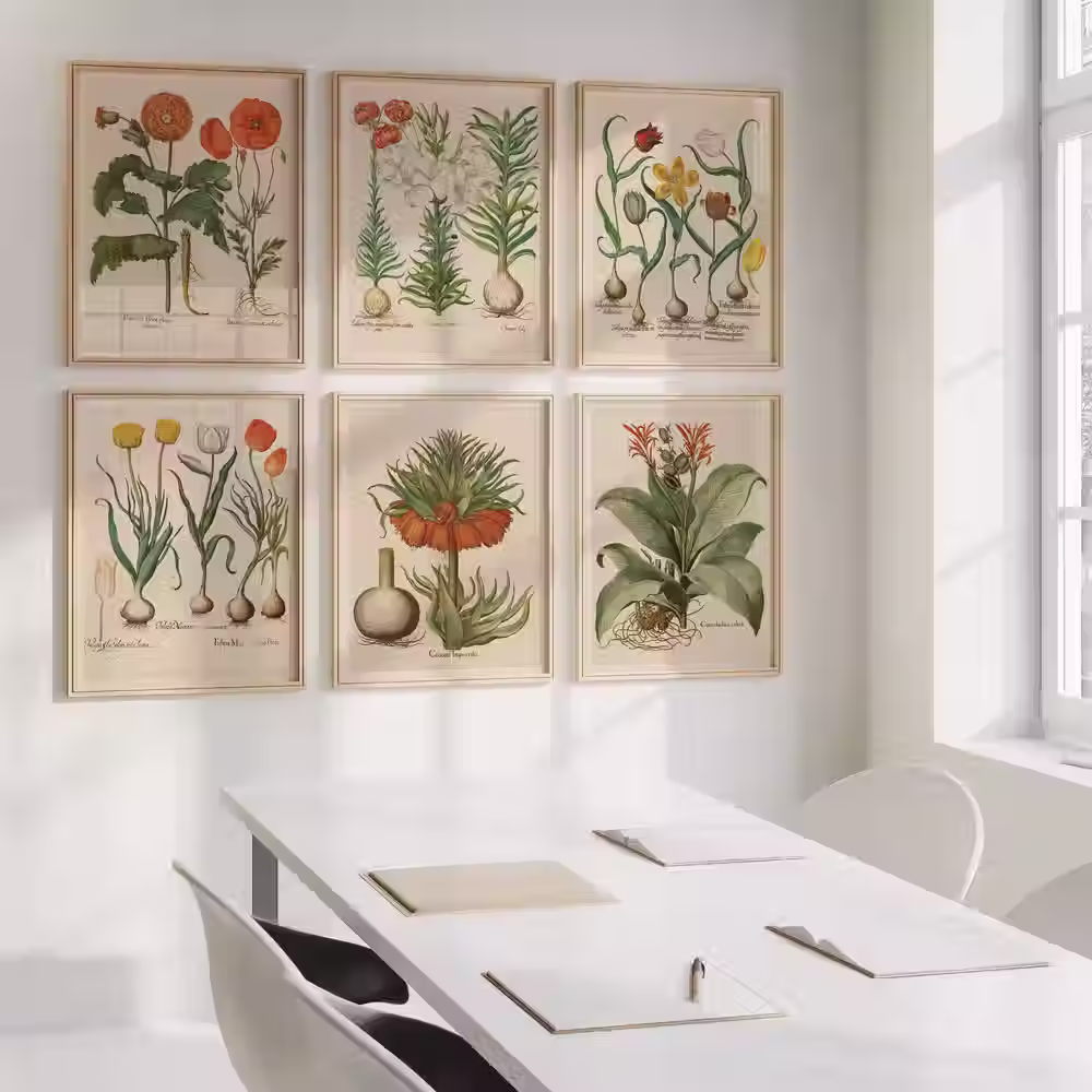 Plagát Tulipa I.