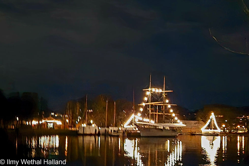 2026-01 Januar - Tema fritt-Ilmy Wethal Halland 1000005637