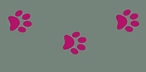 pink cat prints 1