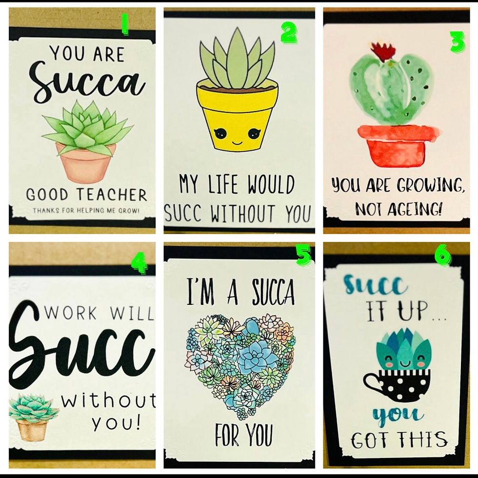 Thumbnail: Succulent Gift Set 