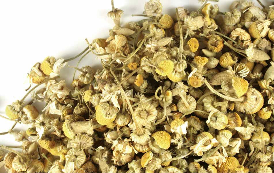 Organic Chamomile