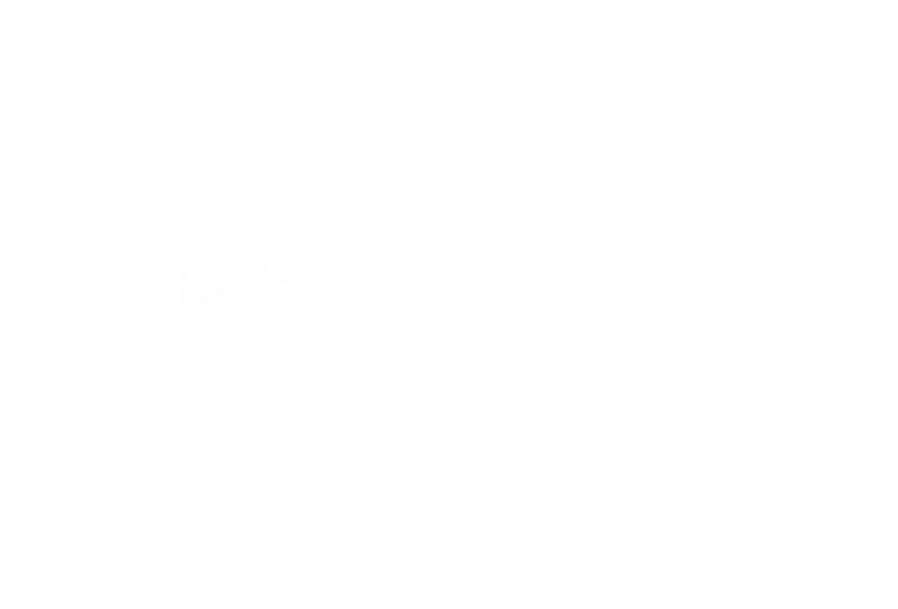 fog.png