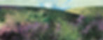Heather Time, Exmoor by Jenny Graham