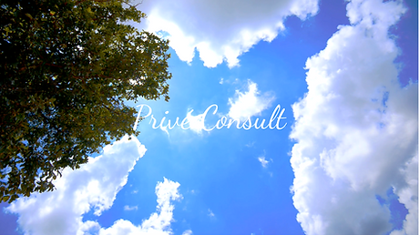Privé Consult.png