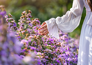 De Inwijding (3).png