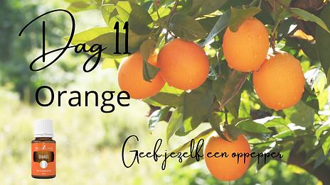 Orange.png