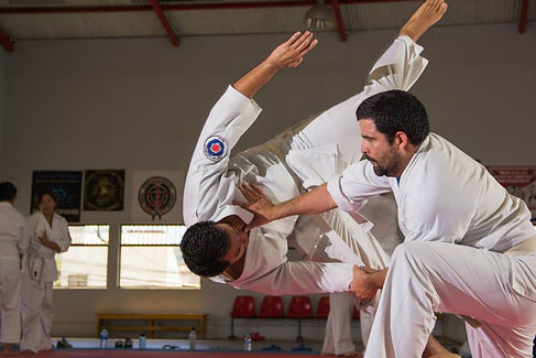 Aikido Practica.jpeg