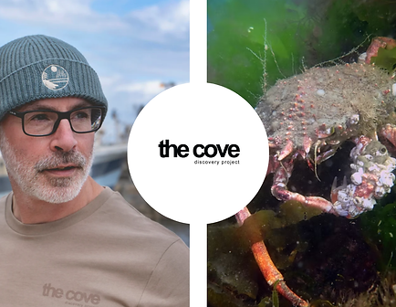 The Cove Testimonial