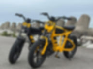 Bicicleta Elétrica FT 03 Mangosteen 1000w 18000.mah