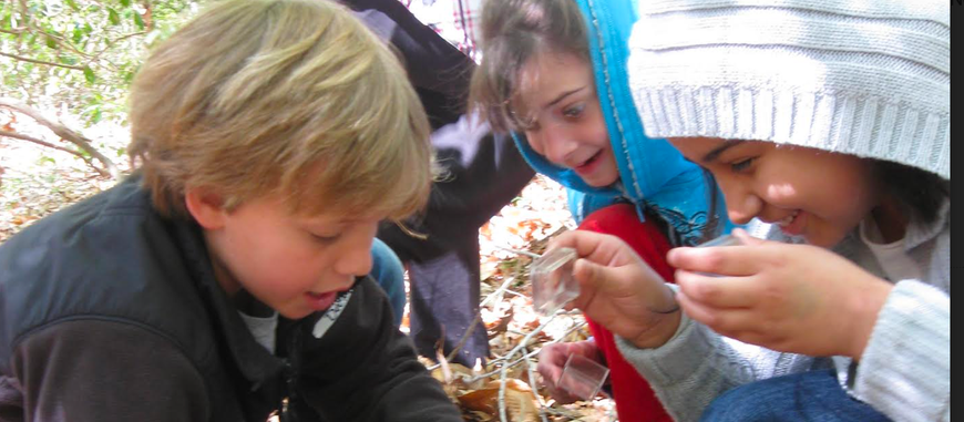 Thanksgiving Nature Trail at Pickering