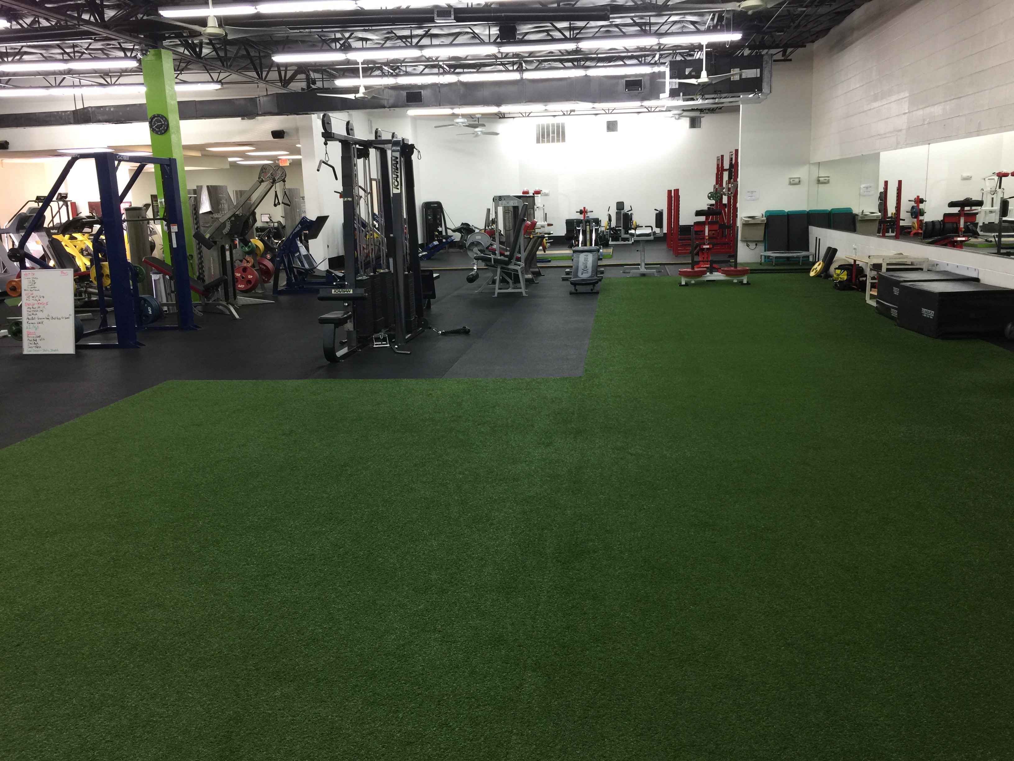 Main Turf