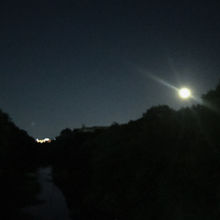 【gallery_c】miss you