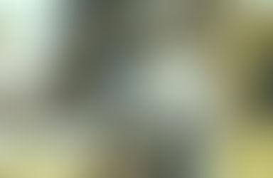 La Virgen que Espera en Silencio: El Día en que María ya Sabía que Todo Iba a Cambiar