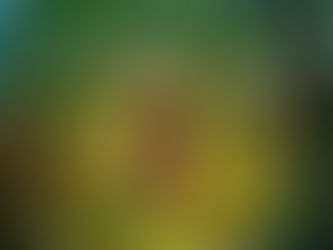 La receta para ser feliz de san Francisco de Asís que hoy avala la psicología