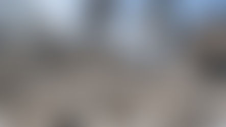 “UNA VERGÜENZA PARA LA HUMANIDAD”: EL GRITO DEL PAPA QUE SACUDE AL MUNDO EN MEDIO DE LA GUERRA