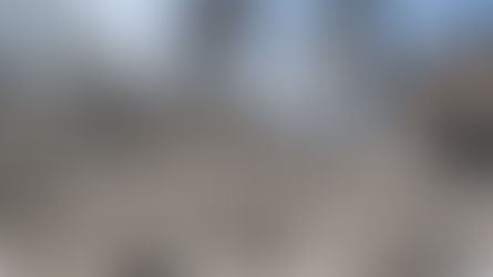 “UNA VERGÜENZA PARA LA HUMANIDAD”: EL GRITO DEL PAPA QUE SACUDE AL MUNDO EN MEDIO DE LA GUERRA