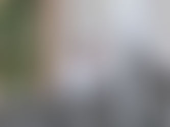 El Papa que se Escondió en los Jardines del Edén