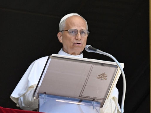 ¡QUE CALLEN LAS ARMAS! El Clamor del Papa Desde Roma que Hizo Temblar al Mundo