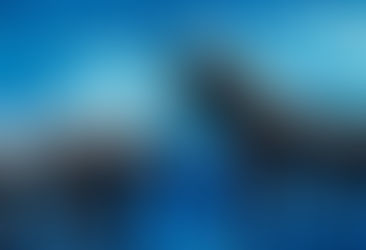 Can Small Cap Mutual Fund Deliver Big Returns in 2024?