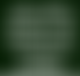 How many schemes you should have in your Mutual Fund Portfolio?