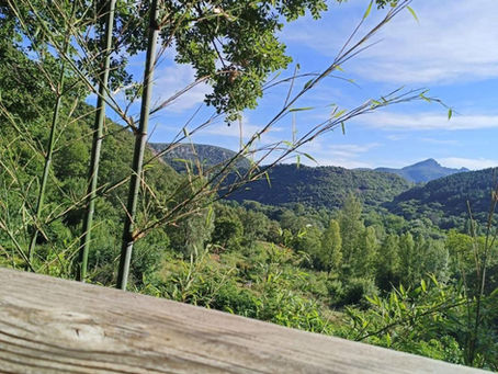 Paysage des Cévennes – ancrage naturel et environnement du Domaine Ferrussac