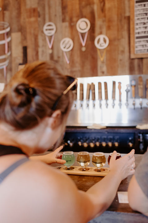 Woman holding beer flight with various beers at brewery, looking at it