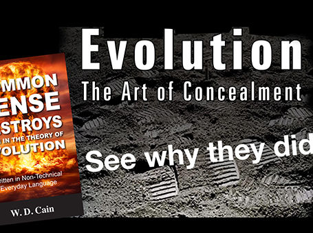Evolution: WHY They Did It!