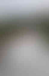 Kommunionsbilder Landshut