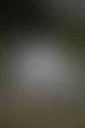 Familienfotograf Landshut- Familienfotos Landshut- Familienbilder in Landshut- Fotograf Landshut