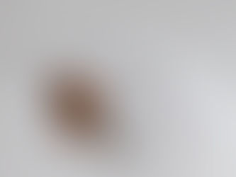 NEWBORNFOTOGRAF - NEUGEBORENENFOTOS IM STUDIO – FAMILIENFOTOGRAF Landshut – DINGOLFING – Moosburg – Deggendorf – LANDAU – Romana Jovanovic