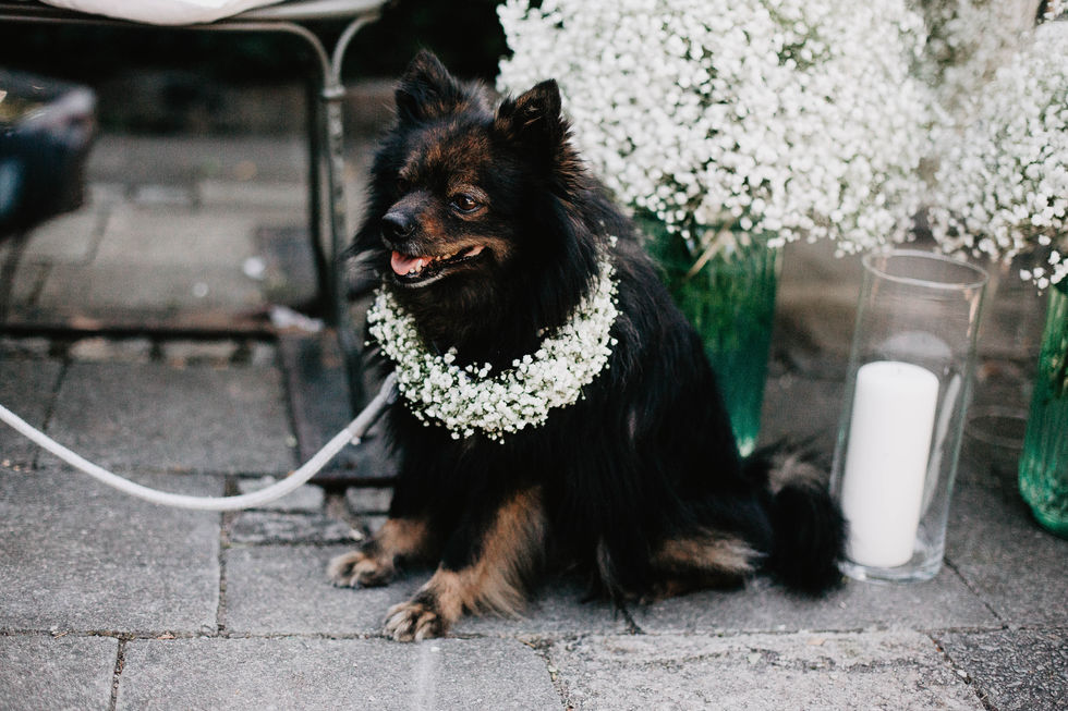 Hochzeit Alte Gärtnerei - Hochzeitsfotograf München- Romana Jovanovic