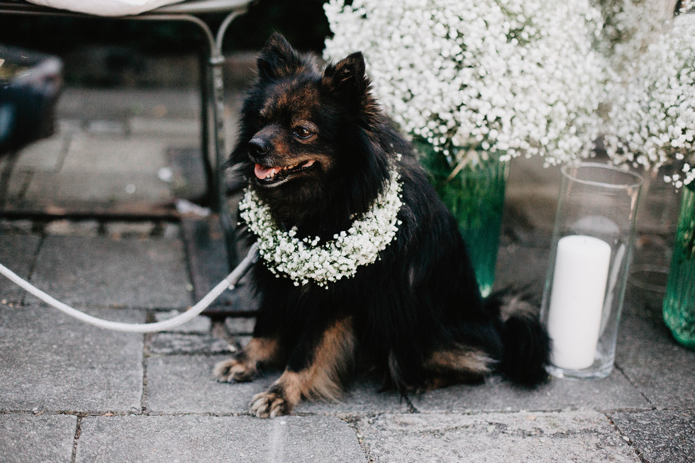 Hochzeit Alte Gärtnerei - Hochzeitsfotograf München- Romana Jovanovic 