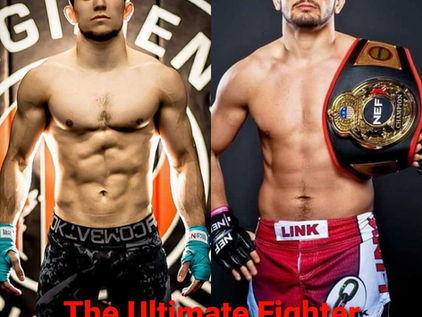 Premiering June 1st: Raposo, Lachinov Highlight Season 29 of TUF