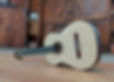 171775038_364122148194997_7953527436431498990_n_edited.jpg