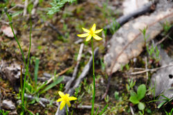 _DSC0029.jpg