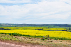 _DSC0002.jpg