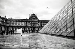 Picasa - Louvre (París)