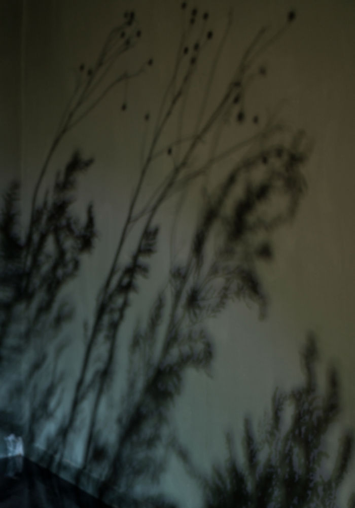 김주리, 일기생멸, 사루비아다방