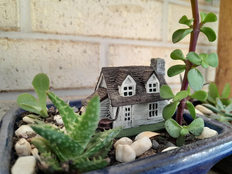 Mini Garden 2