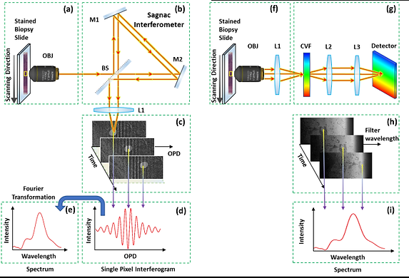 Figure 1 final small.png