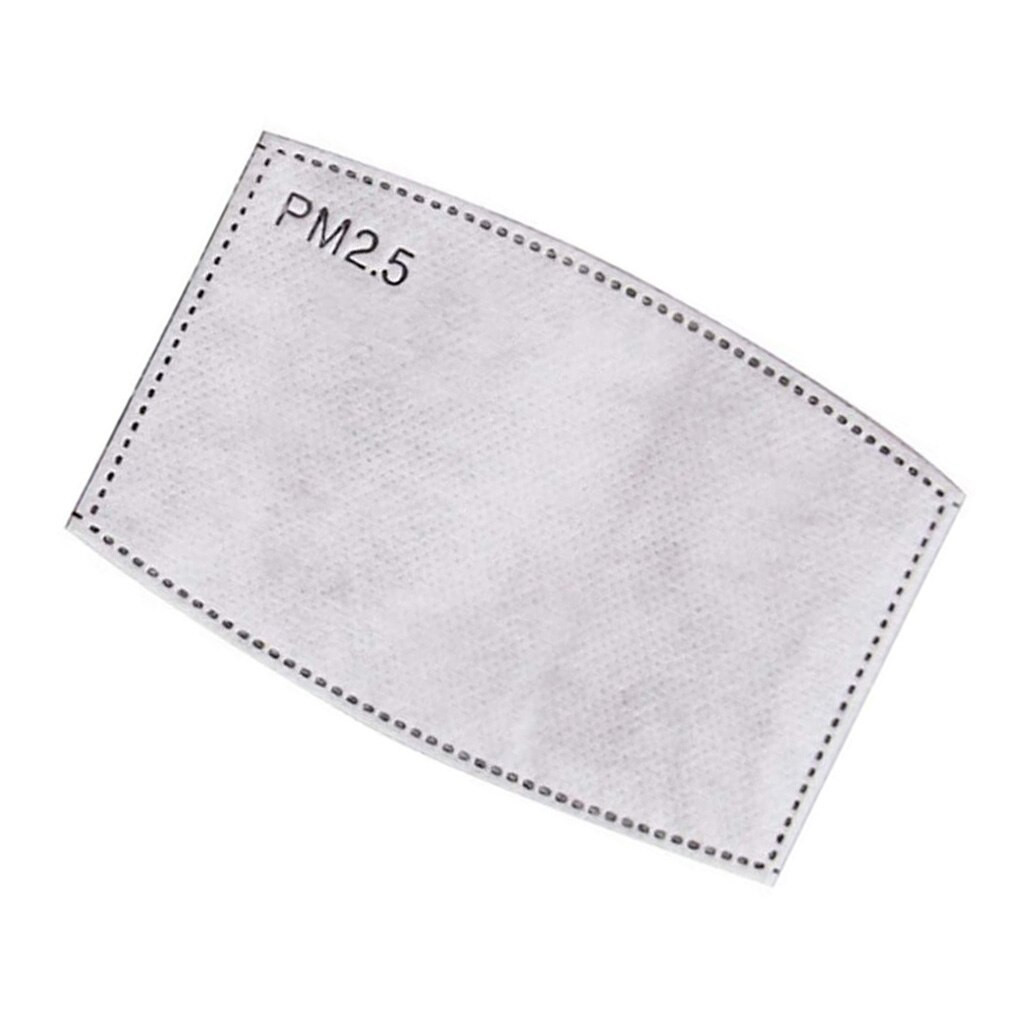 PM2.5 Filters- 10pcs/box