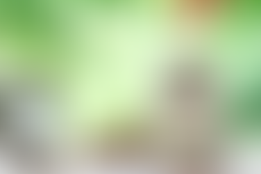 AGE IS JUST A NUMBER: CAN AN EMPLOYER FAIRLY DISMISS AN EMPLOYEE WHO HAS REACHED THE AGREED RETIREMENT AGE?