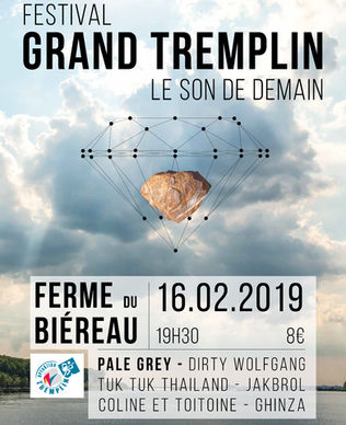 FESTIVAL GRAND TREMPLINS 2019!