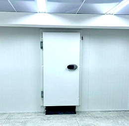 câmara para armazenamento de vacinas e medicamentos.JPG