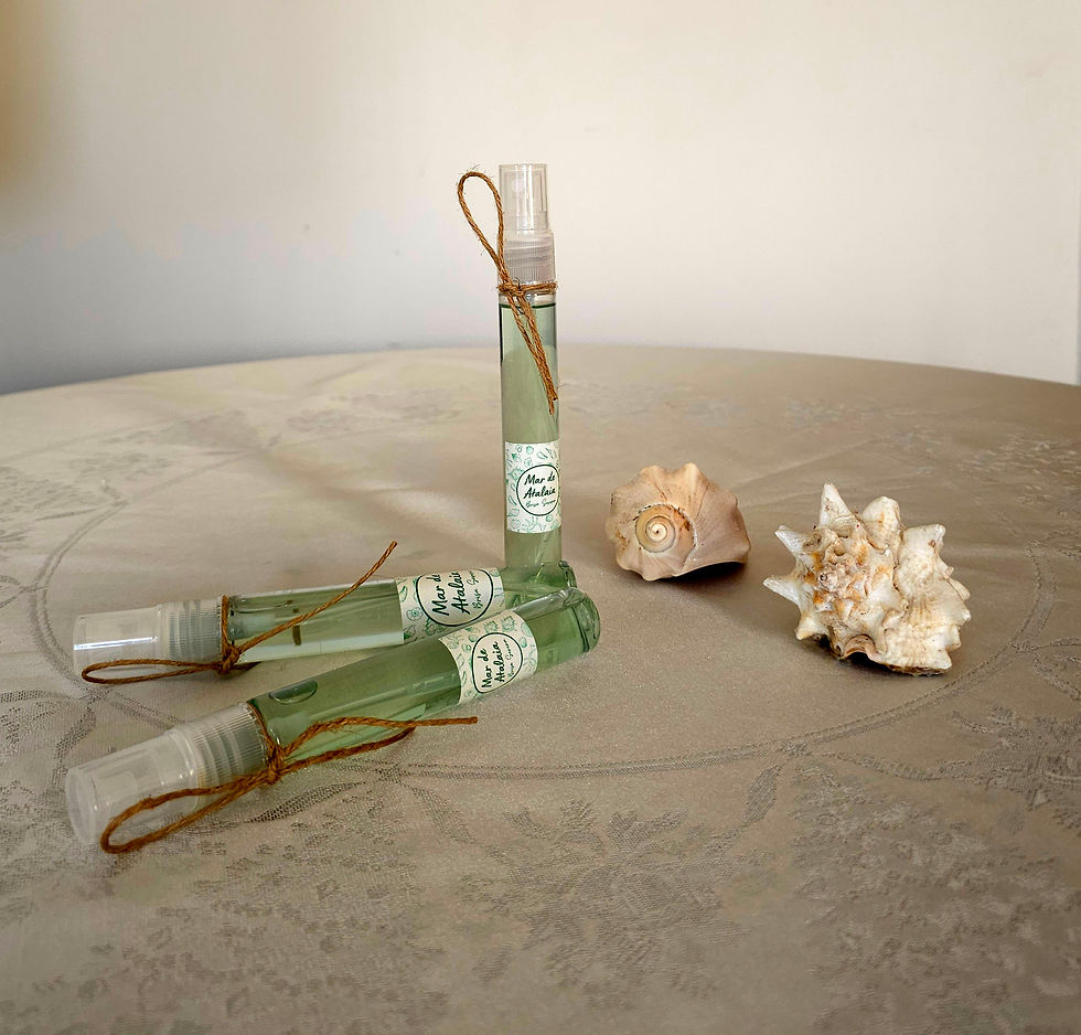 Home Spray Brisa do Litoral 30ml Pocket Mar de Atalaia